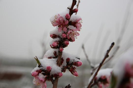 2014123008.jpg