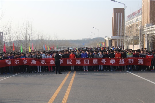 201531102n.jpg